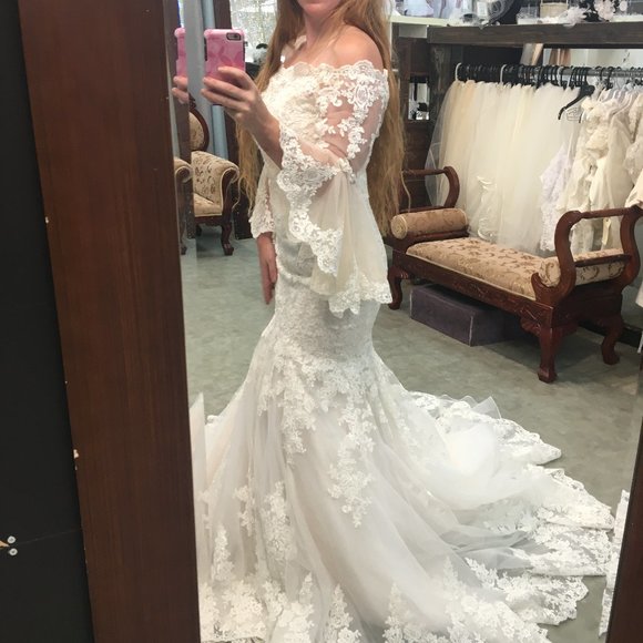 NWT Poet Sleeve Lace Blush/Ivory Wedding Dress - Picture 2 of 16